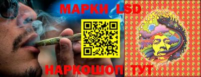 шишки Берёзовский