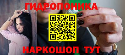 шишки Берёзовский