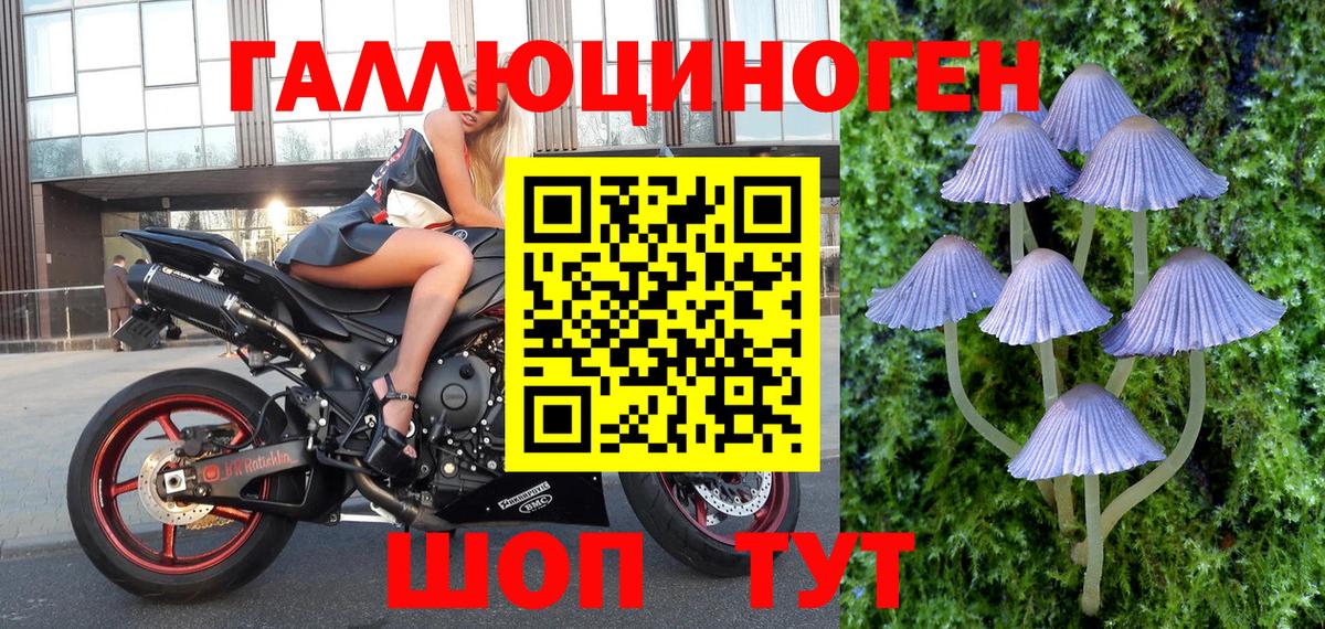 Галлюциногенные грибы мухоморы  Вход с VPN  Ишим 
