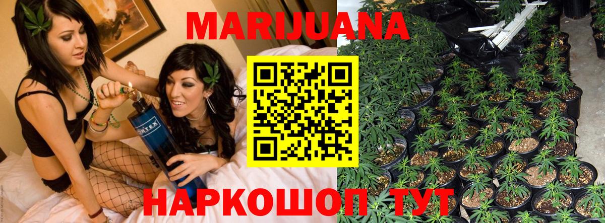 Шишки марихуана Bruce Banner  Каннабис план  Шишки марихуана сатива  Ишим  Вход с VPN 